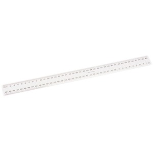 Merck Pastic Ruler Plastic Ruler - Everyday Supplies